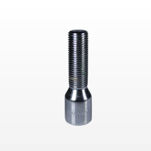 Wheel bolt